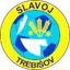 Team logo