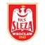 Team logo