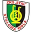 Team logo