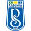 Team logo