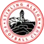 Team logo