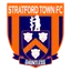 Team logo