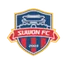 Team logo