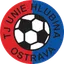 Team logo