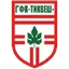 Team logo