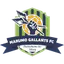 Team logo