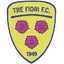 Team logo