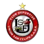 Team logo