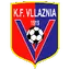 Team logo