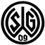 Team logo