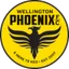 Team logo