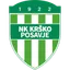 Team logo