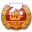 Team logo