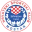 Team logo