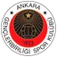 Team logo