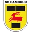 Team logo