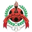 Team logo
