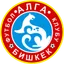 Team logo