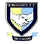 Team logo