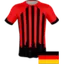 Team logo