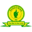 Team logo