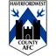 Team logo