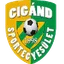 Team logo
