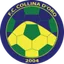 Team logo