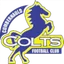 Team logo