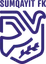 Team logo