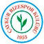 Team logo