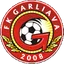 Team logo