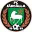 Team logo