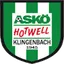 Team logo