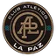Team logo