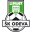 Team logo