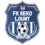 Team logo
