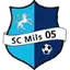 Team logo