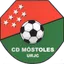 Team logo
