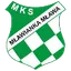 Team logo