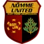 Team logo