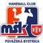 Team logo