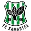 Team logo