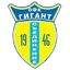 Team logo