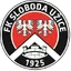 Team logo