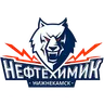 ХК Нефтехимик