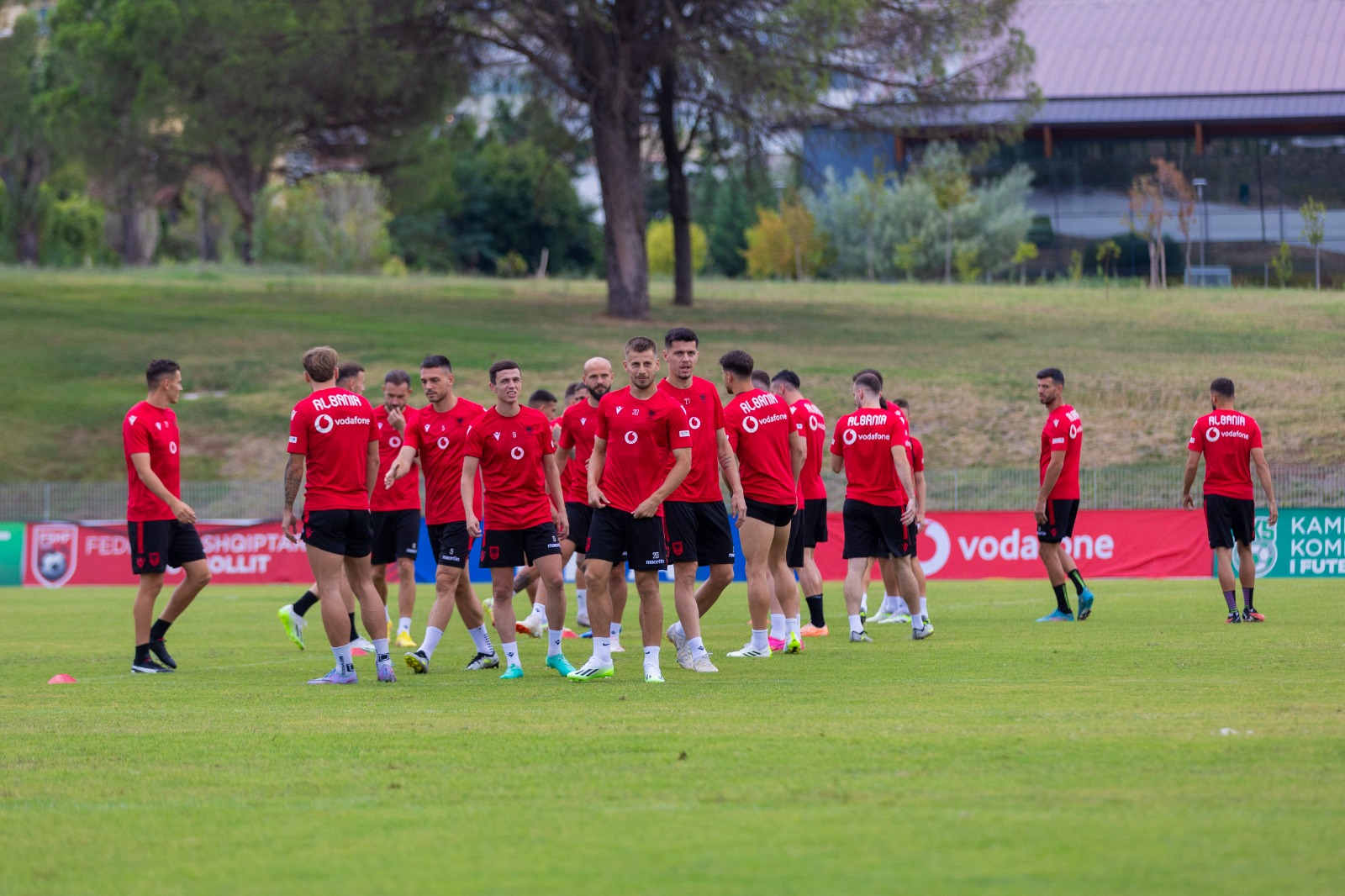 Чехия – Албания: прогноз на матч квалификации Евро-2024 7 сентября 2023 года