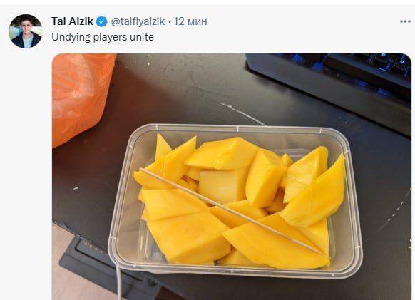 Fly потроллил игроков на Undying — он опубликовал фото с манго
