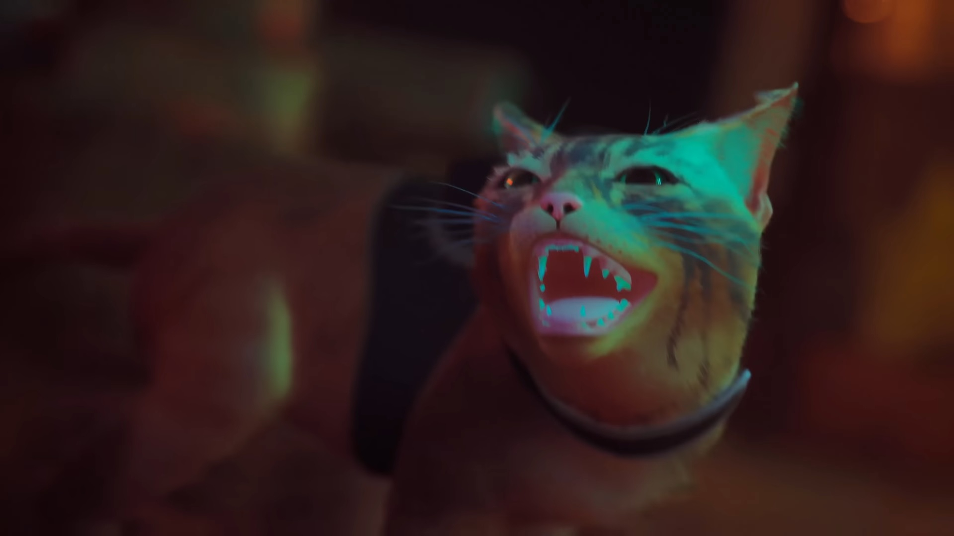 Игра про кота в мире киберпанка Stray вошла в топ-3 чарта Steam