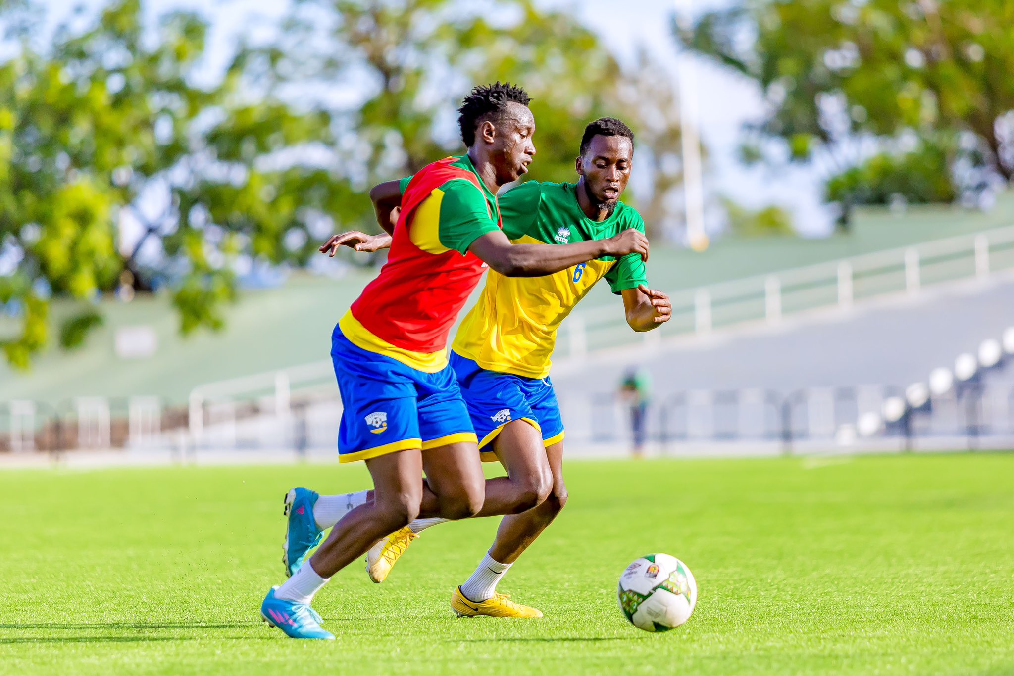 Руанда – Зимбабве прогноз на матч квалификации ЧМ 15 ноября 2023